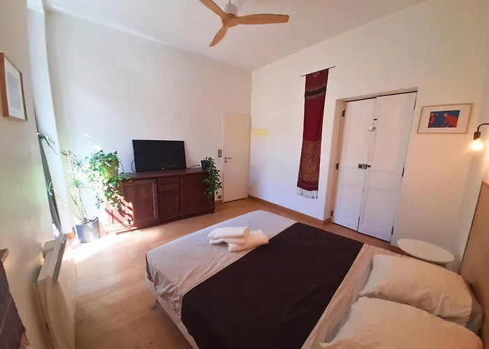 Apartamento L'oasis Lumiere - T3 Central, Fibre, Tv Connectee